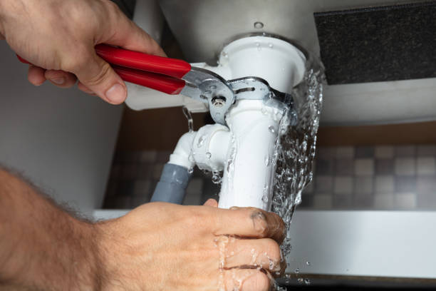 Best Mold removal after water damage  in Halawa, HI