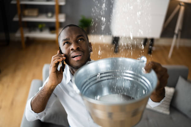 Best Flood restoration services  in Halawa, HI