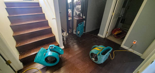 Best Water damage cleanup near me  in Halawa, HI