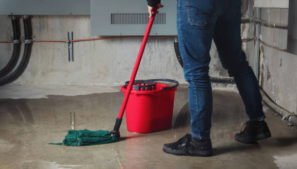 Best Water damage cleanup near me  in Halawa, HI