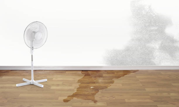 Professional Water damage restoration in Halawa, HI