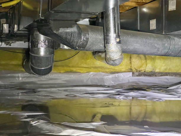 Best Local water damage restoration  in Halawa, HI