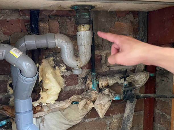 Best Water damage restoration near me  in Halawa, HI