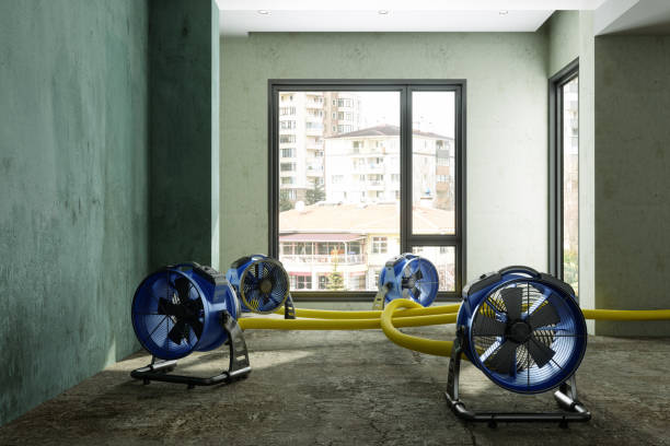 Best Commercial water damage restoration  in Halawa, HI